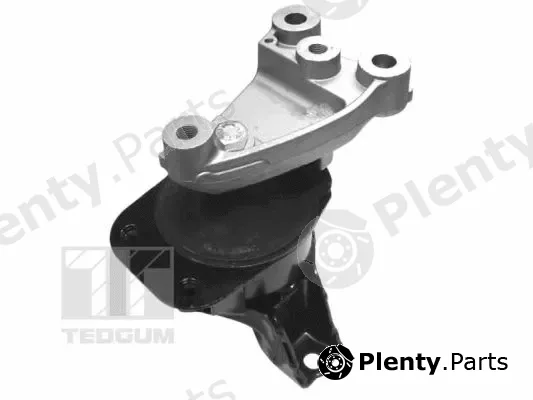 Tedgum 00263047 — Mounting, engine