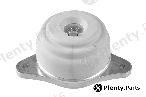 Tedgum TED25563 — Mounting, engine