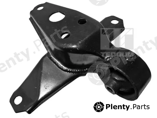 Tedgum 00670291 — Mounting, engine