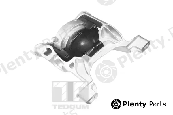 Tedgum TED96317 — Mounting, engine