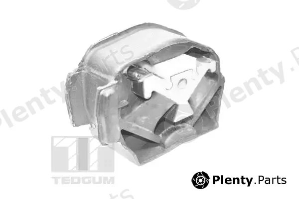 Tedgum 00416328 — Mounting, engine