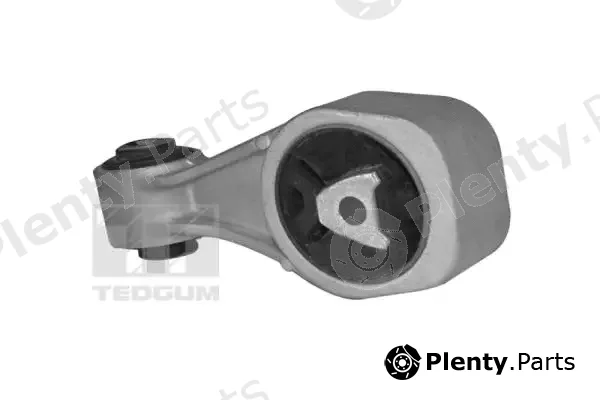 Tedgum 00469878 — Mounting, engine