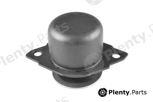 Tedgum 00725575 — Mounting, engine