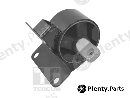Tedgum TED11042 — Mounting, engine