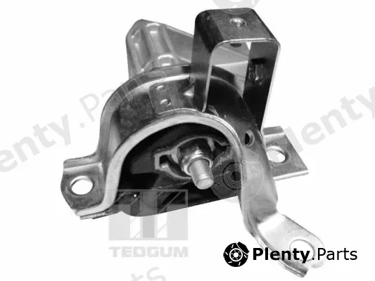 Tedgum 00215781 — Mounting, engine
