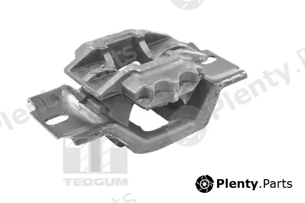 Tedgum TED34120 — Mounting, engine