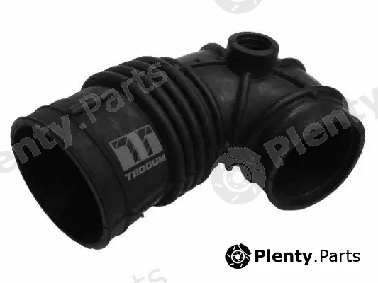 Tedgum 00083119 — Intake Hose, air filter