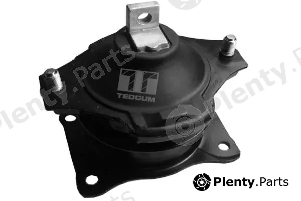 Tedgum 00260933 — Mounting, engine