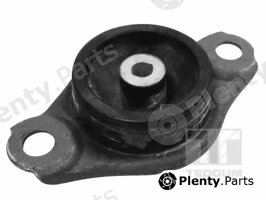 Tedgum 00216249 — Mounting, engine