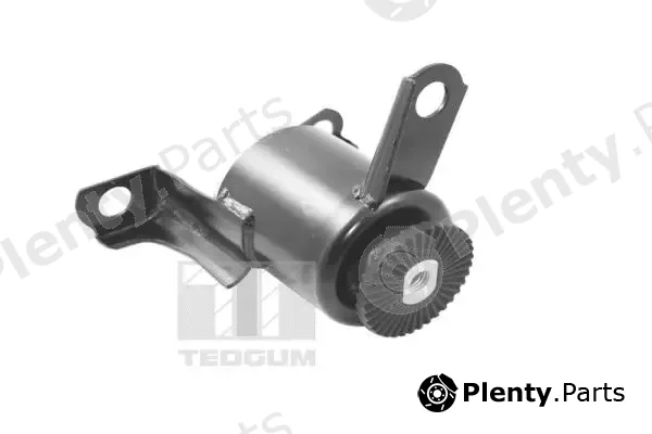 Tedgum TED20173 — Mounting, engine