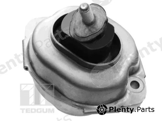 Tedgum 00088396 — Mounting, engine