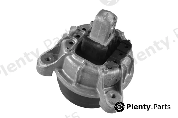 Tedgum TED37119 — Mounting, engine