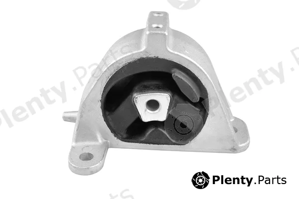 Tedgum TED37618 — Mounting, engine