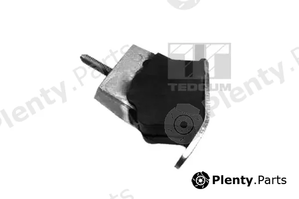 Tedgum 00580407 — Mounting, engine