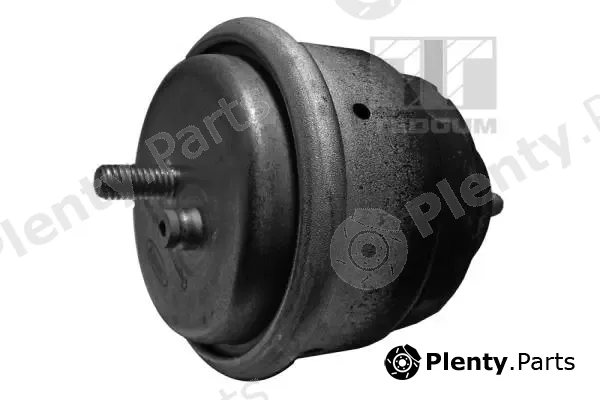 Tedgum 00089811 — Mounting, engine