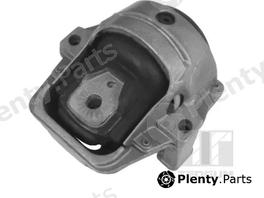 Tedgum 00058583 — Mounting, engine