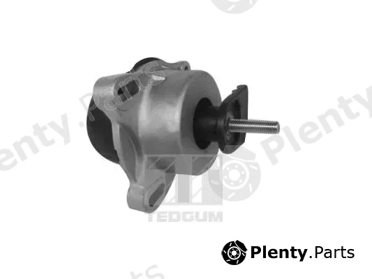 Tedgum 00228943 — Mounting, engine