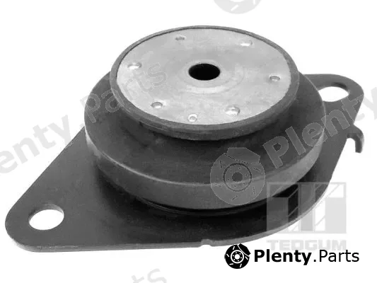 Tedgum 00586856 — Mounting, manual transmission support