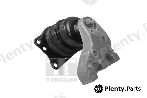 Tedgum 00729417 — Mounting, engine