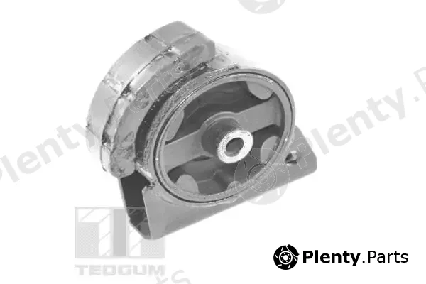 Tedgum 00671816 — Mounting, engine