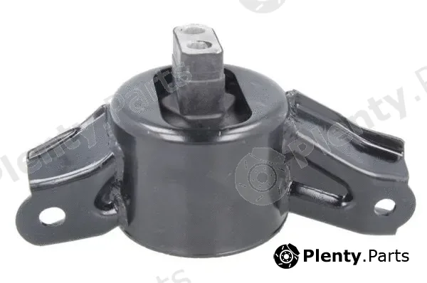 Tedgum TED16987 — Mounting, engine