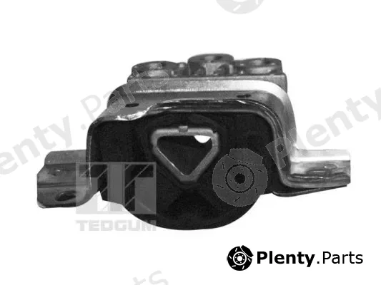 Tedgum 00219579 — Mounting, engine