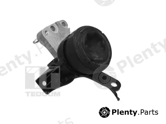 Tedgum 00671167 — Mounting, engine
