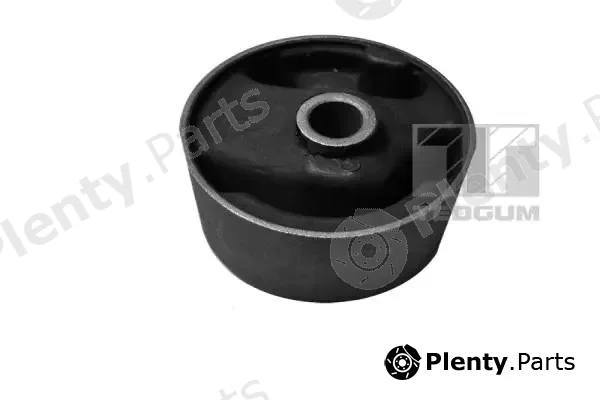 Tedgum 00466405 — Mounting, engine