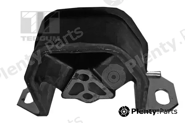 Tedgum 00162109 — Mounting, engine