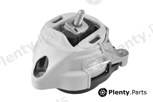 Tedgum TED97955 — Mounting, engine