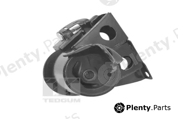 Tedgum 00461057 — Mounting, engine