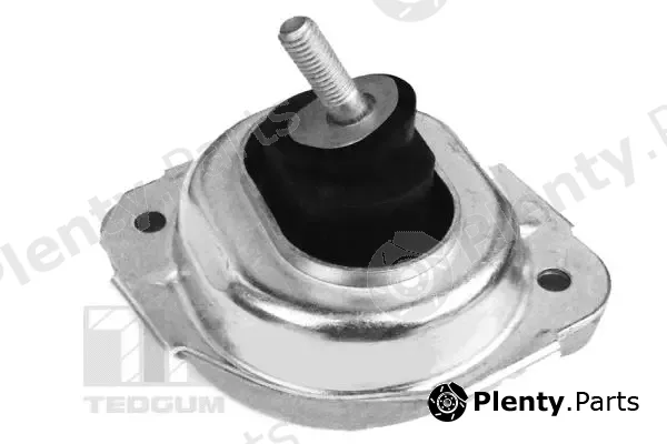 Tedgum 00088550 — Mounting, engine