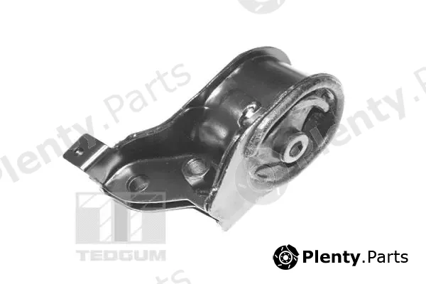 Tedgum 00262593 — Mounting, engine