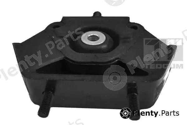 Tedgum 00161278 — Mounting, engine