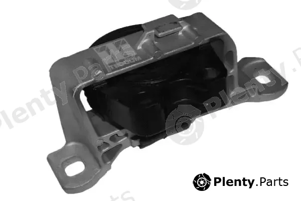Tedgum 00221651 — Mounting, engine