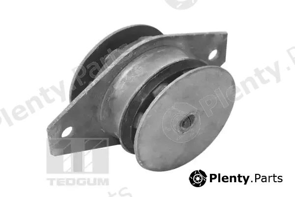 Tedgum 00214179 — Mounting, engine