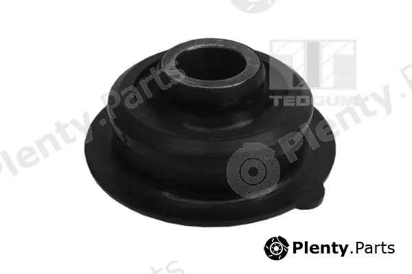 Tedgum 00142005 — Mounting, control/trailing arm