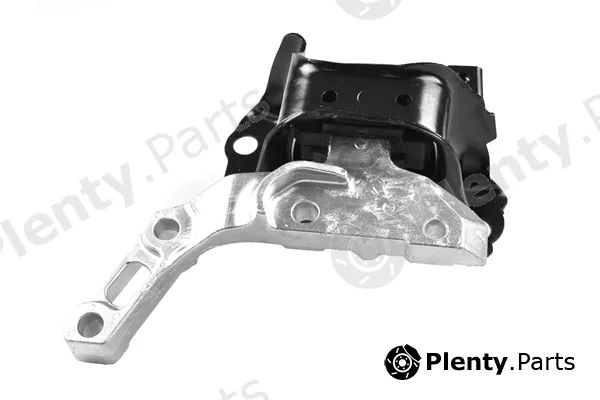 Tedgum TED53516 — Mounting, engine