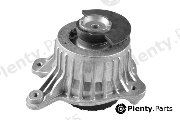 Tedgum TED53873 — Mounting, engine