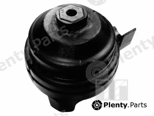 Tedgum 00050313 — Mounting, engine