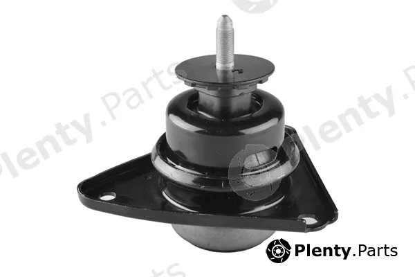 Tedgum TED33753 — Mounting, engine