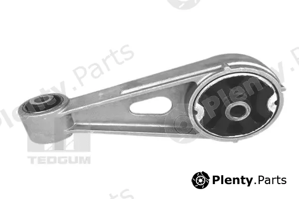 Tedgum 00129916 — Mounting, engine