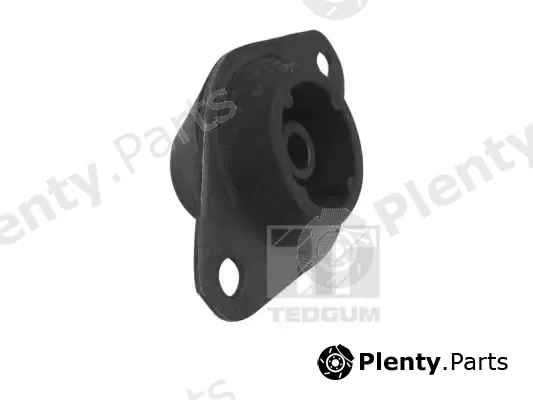 Tedgum 00586236 — Mounting, engine