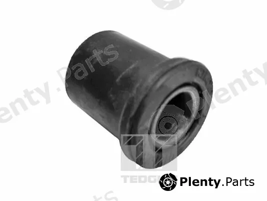 Tedgum 00391569 — Mounting, leaf spring