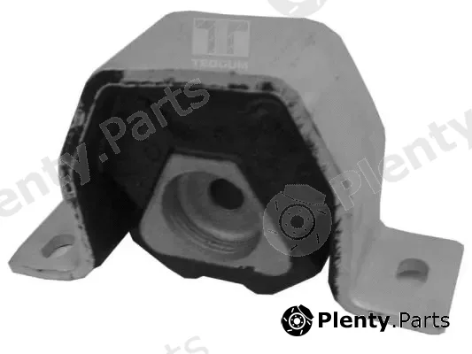 Tedgum 00212975 — Mounting, engine