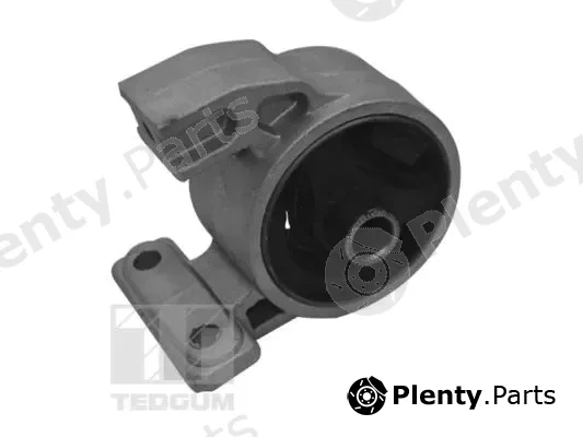 Tedgum TED94977 — Mounting, engine