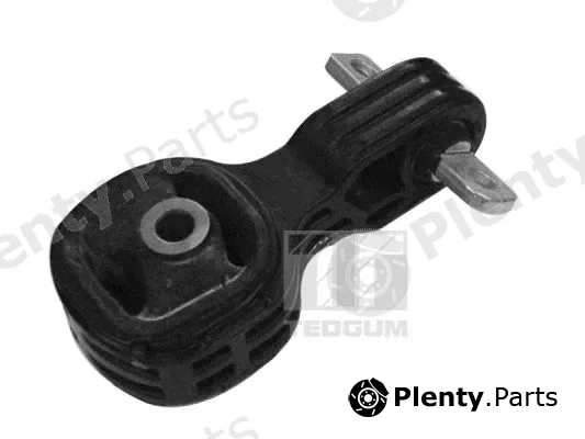 Tedgum 00269395 — Mounting, engine