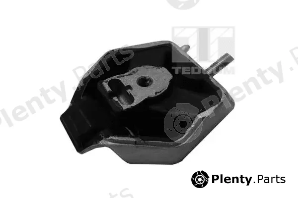 Tedgum 00051200 — Mounting, engine