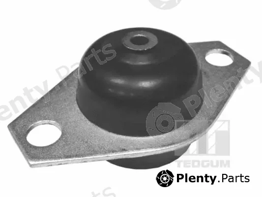 Tedgum 00215059 — Mounting, engine