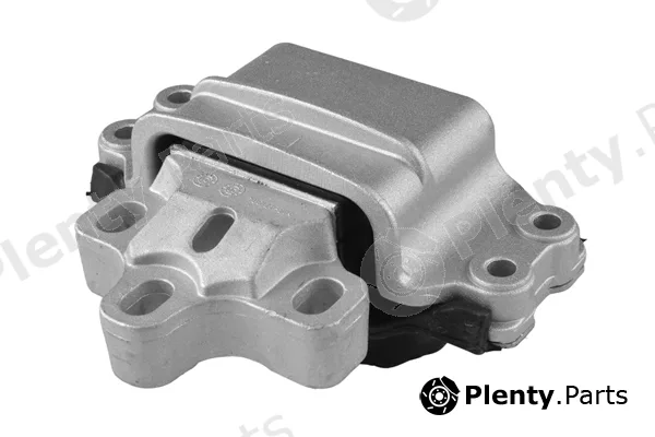 Tedgum TED41441 — Mounting, engine